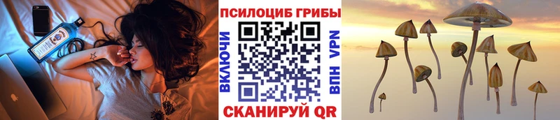 купить наркотик  Чайковский  Псилоцибиновые грибы прущие грибы 